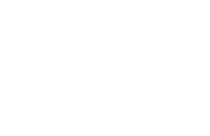 UEFA Official Partner